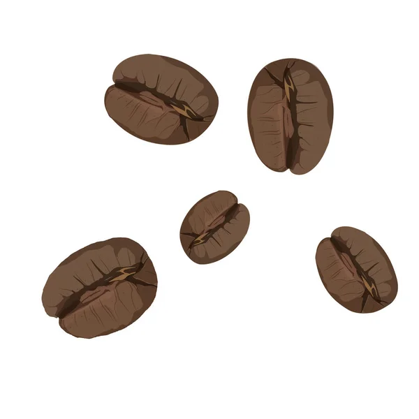 Roasted Coffee Beans Isolated White Background Vector — Stockfoto