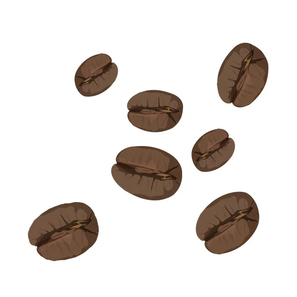 Roasted Coffee Beans Isolated White Background Vector — Stockfoto