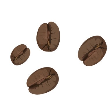 Beyaz arka planda izole edilmiş kızarmış kahve çekirdekleri. Vektör