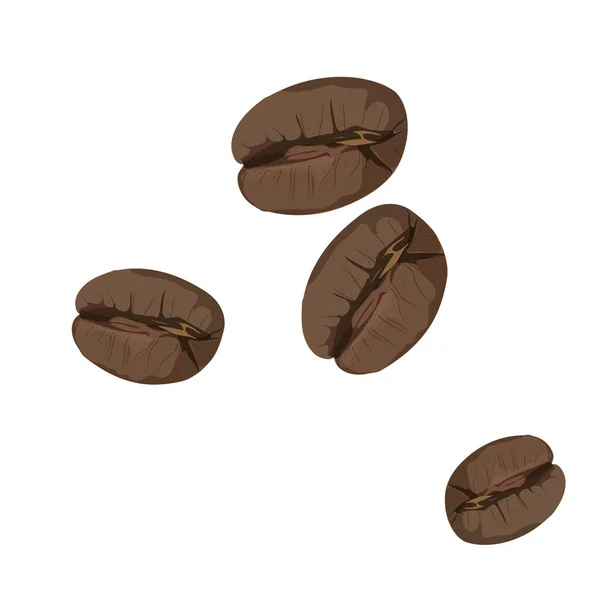 Roasted Coffee Beans Isolated White Background Vector — Vector de stock