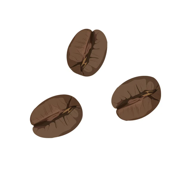 Roasted Coffee Beans Isolated White Background Vector — Stockvector