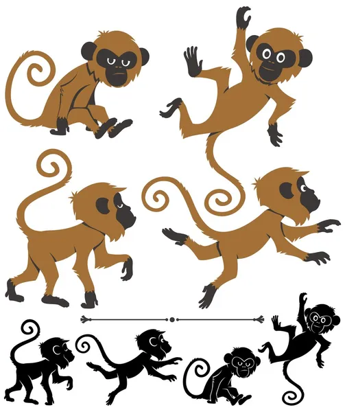 Monkeys — Stock Vector