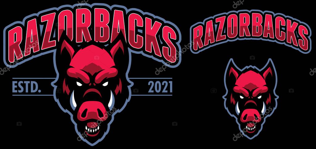 Sports team mascot with red feral pig.