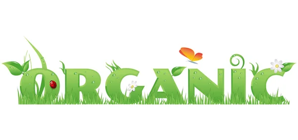 Organic text — Stock Vector