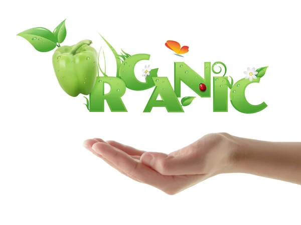 Mano que sostiene la palabra "orgánico" diseño ecológico — Foto de Stock