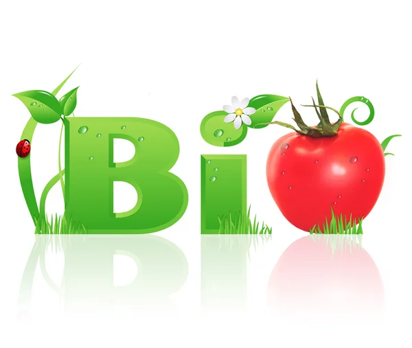 Woord "bio" ecologisch ontwerp — Stockfoto