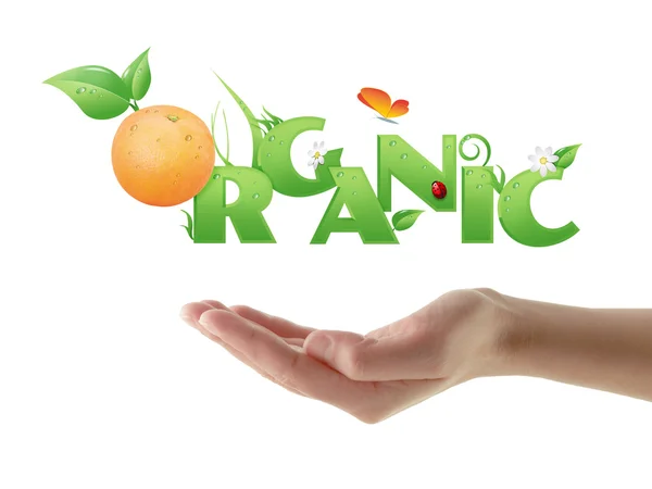 Mano parola "Organic" progettazione ecologica — Foto Stock