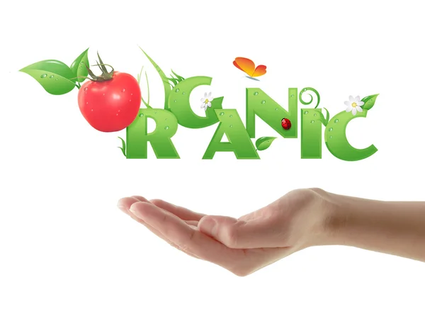 Mano parola "Organic" progettazione ecologica — Foto Stock