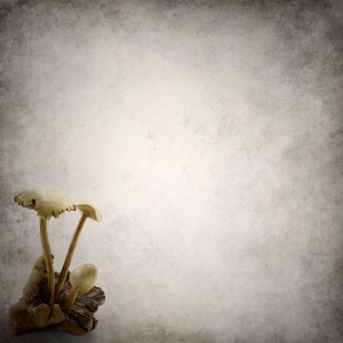 Grunge arka plan şablonu mantar ile