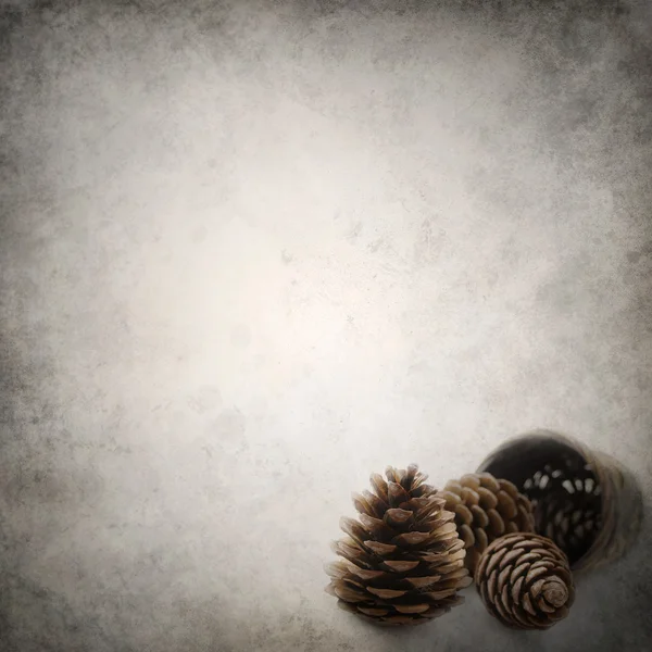 Grunge background template with conifer cones — Stock Photo, Image