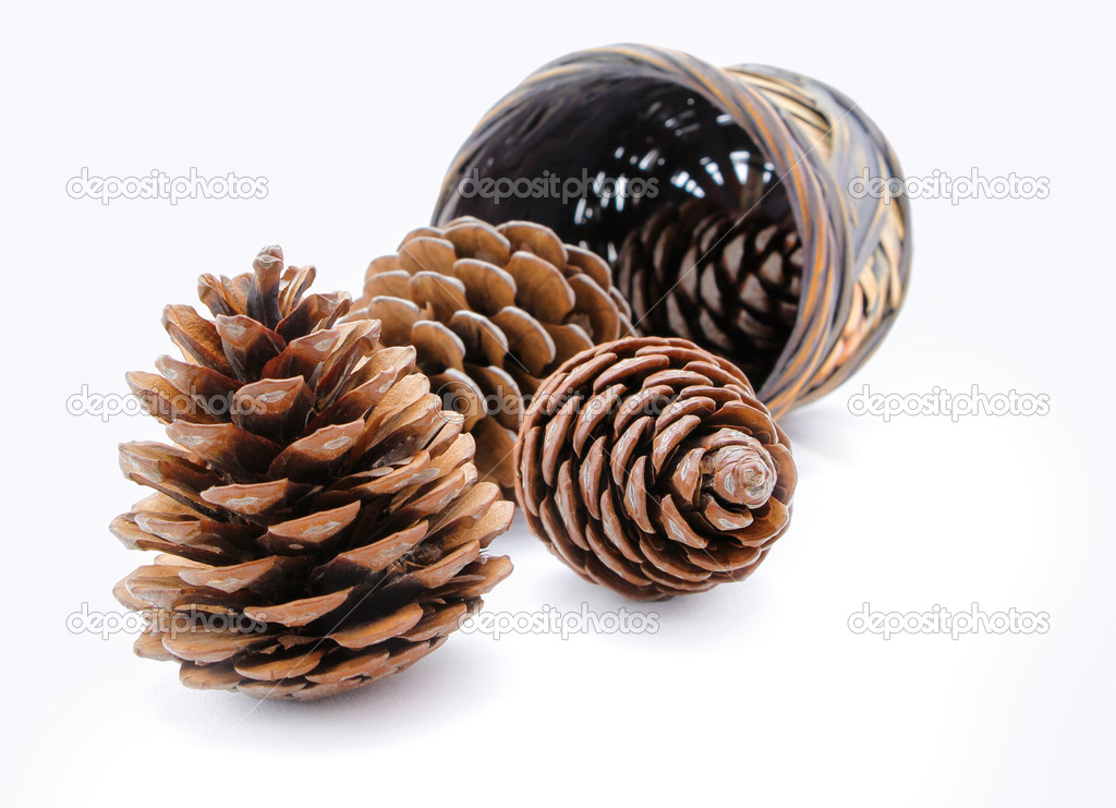Group of pine cones and wicker basket isolated