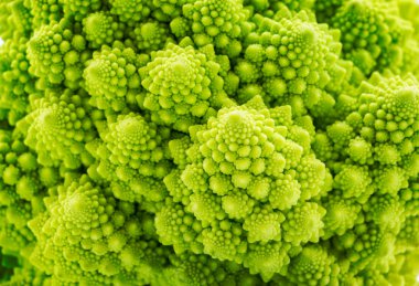 Beautiful closeup background of Romanesco spiral broccoli clipart