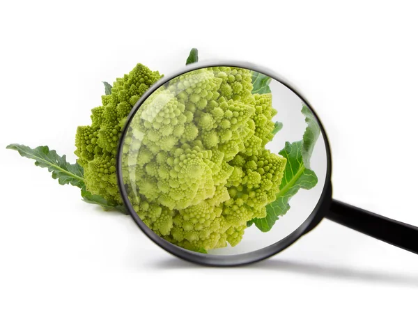 Närbild av romanesco spiral broccoli med förstoringsglas — Stockfoto