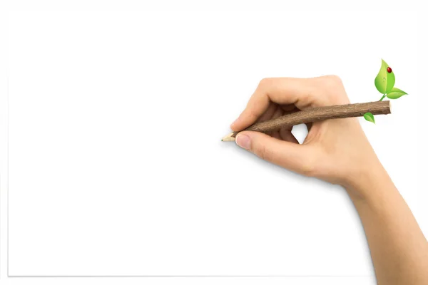 나무 줄기와 함께 손으로 연필 드로잉 및 흰색 시트 — 스톡 사진