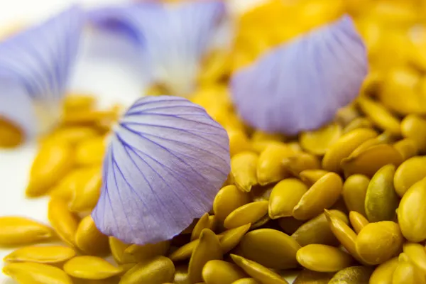 Semillas de lino dorado con pétalos de flores azules de cerca —  Fotos de Stock