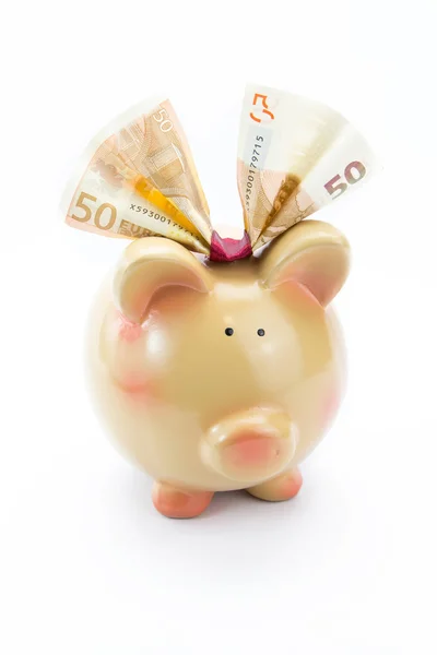 Cute piggy bank with a banknote bow isolated — Stock Photo, Image