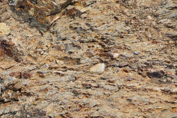 Natural rock texture worn by the sea — Stock Photo, Image