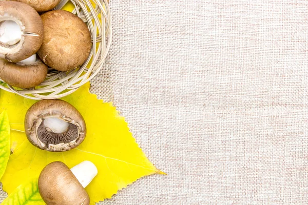 Cesta de cogumelos com folhas de outono e tecido de linho — Fotografia de Stock