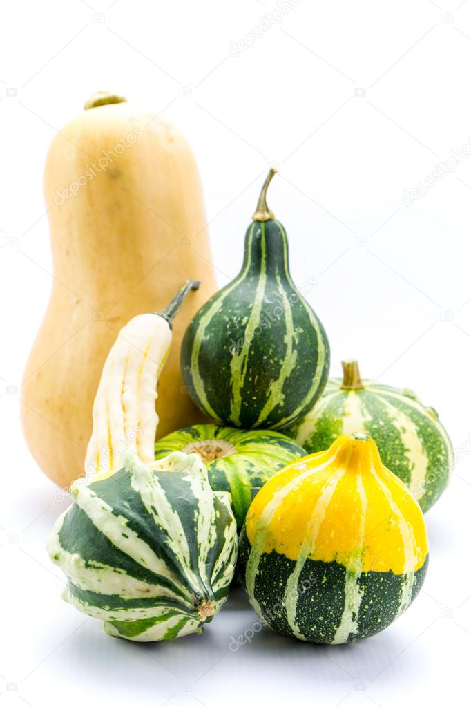 Mini colorful pumpkins  isolated on white
