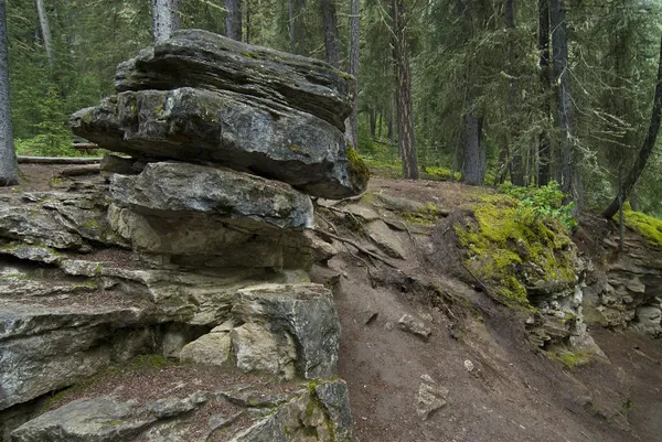 다스 베이더 암석 — 스톡 사진