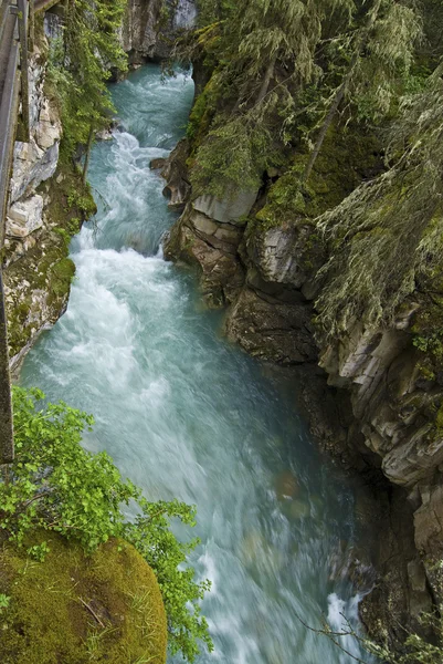 Johnston Canyon — Stock Photo, Image