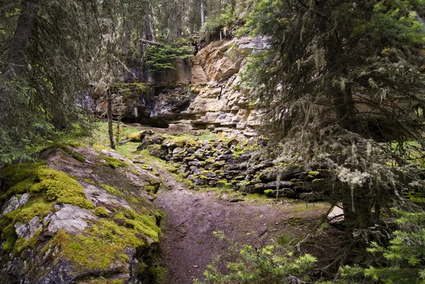 Johnston Canyon — Stock Photo, Image