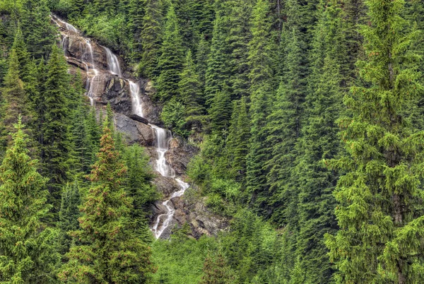 Yoho National Park — Stock Photo, Image