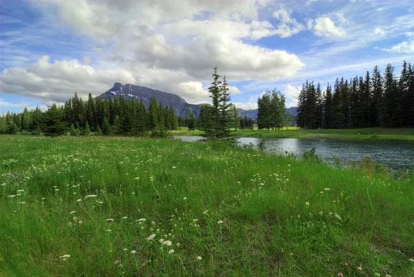 Cascade Ponds — Stock Photo, Image