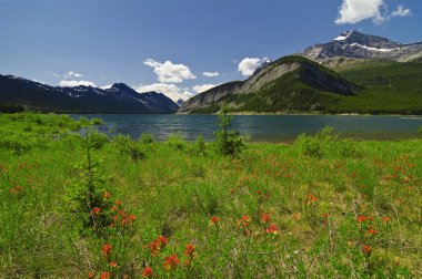 Kanada Kayalık Dağları