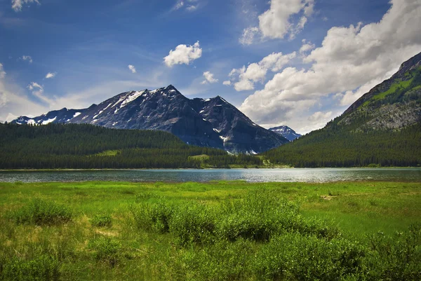 Kanadské rockies — Stock fotografie