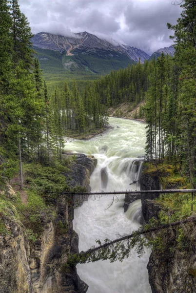 Sunwapta Falls — Stock Photo, Image