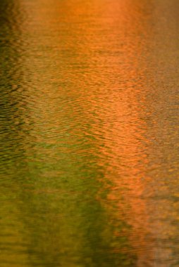 sonbahar yansımalar