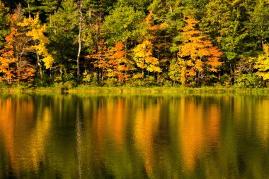 sonbahar yansımalar