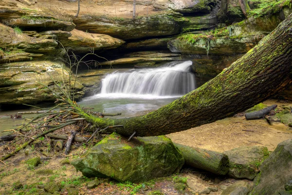 Starý pán jeskyně ohio — Stock fotografie