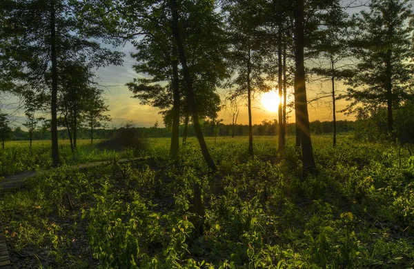 Irwin Prarie Pôr do sol — Fotografia de Stock