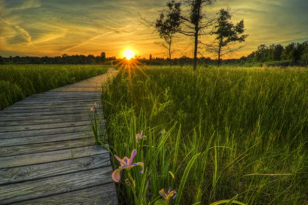 Irwin Prairie zonsondergang — Stockfoto