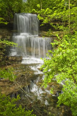 Park falls göz ardı