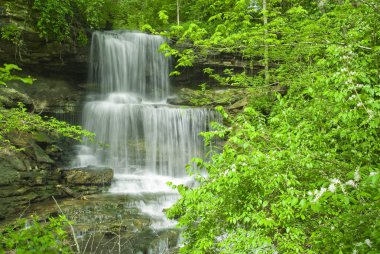 Park falls göz ardı