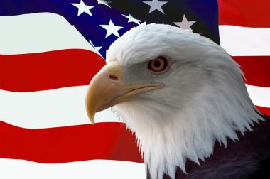 Amerikan kel kartal bayrağı