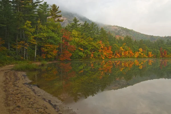 Echo Lake Reflections — Stock Photo, Image