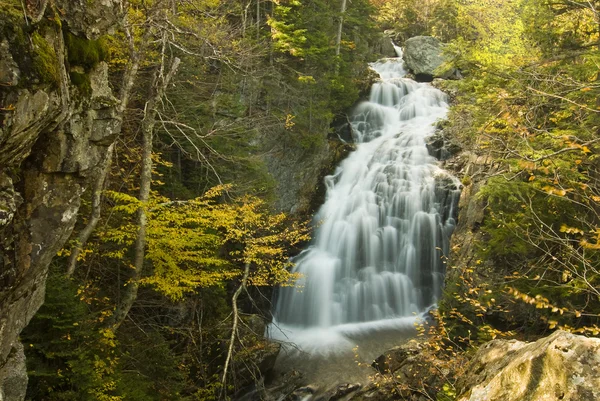 Forest Waterfall — Stock Photo, Image