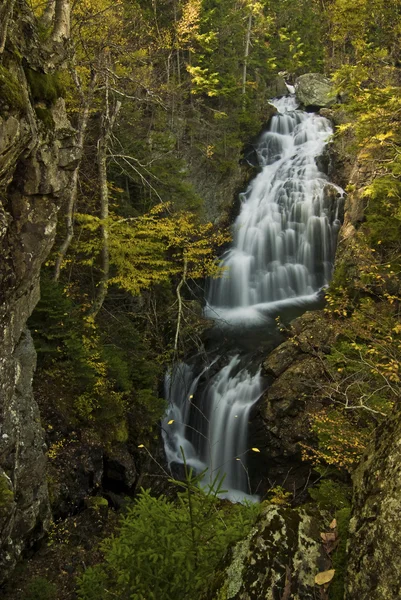 Chute d'eau forestière — Photo