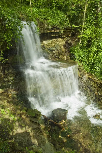 Affacciato Park Falls — Foto Stock