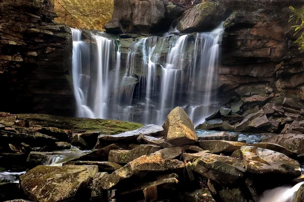 Cascada del bosque — Foto de Stock