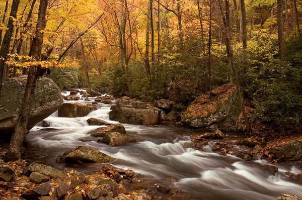 Cascada de bosque de otoño — Foto de Stock