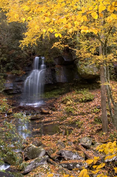 Лесной водопад — стоковое фото