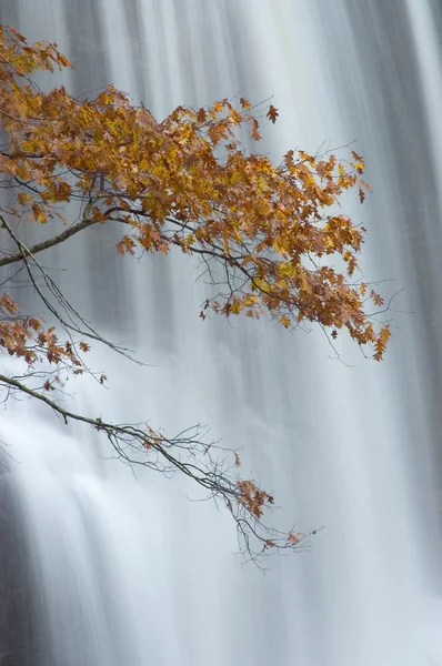 Waterfall Abstract — Stock Photo, Image