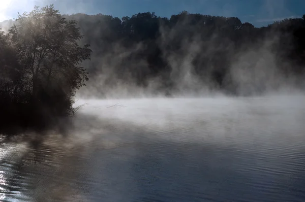 Foggy Morning — Stock Photo, Image