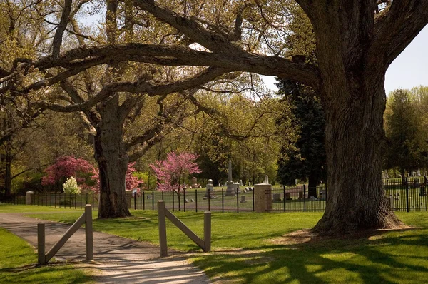 Majestic Oaks garde un cimetière — Photo