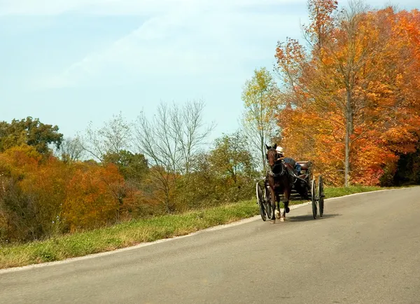 Buggy di Amish — Foto Stock